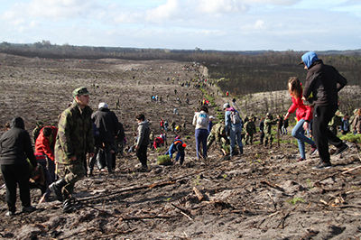 responsabilidade social