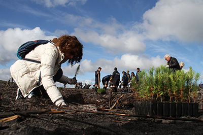 responsabilidade social