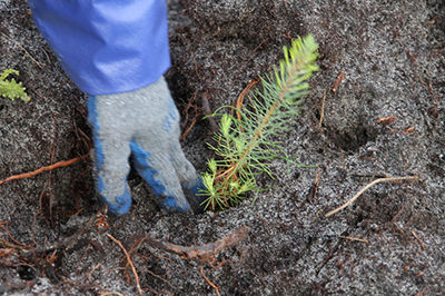 responsabilidade social